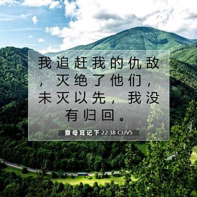 Picture 07 - 撒 母 耳 记 下 22:38 CUVS - 我 追 赶 我 的 仇 敌 ， 灭 绝 了 他 - Bible Verse Picture