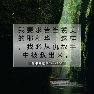 Picture 07 - 撒 母 耳 记 下 22:4 CUVS - 我 要 求 告 当 赞 美 的 耶 和 华 ， - Bible Verse Picture