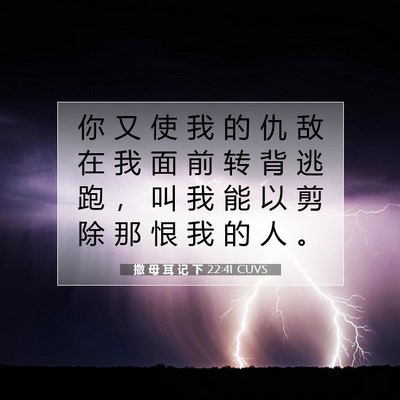 Picture 07 - 撒 母 耳 记 下 22:41 CUVS - 你 又 使 我 的 仇 敌 在 我 面 前 转 - Bible Verse Picture