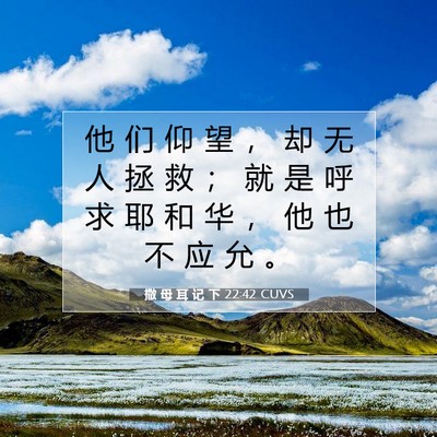 Picture 07 - 撒 母 耳 记 下 22:42 CUVS - 他 们 仰 望 ， 却 无 人 拯 救 ； 就 - Bible Verse Picture