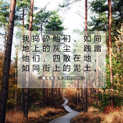 Picture 07 - 撒 母 耳 记 下 22:43 CUVS - 我 捣 碎 他 们 ， 如 同 地 上 的 灰 - Bible Verse Picture