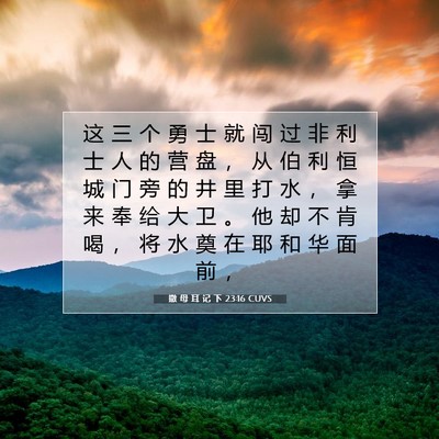 Picture 07 - 撒 母 耳 记 下 23:16 CUVS - 这 三 个 勇 士 就 闯 过 非 利 士 人 - Bible Verse Picture