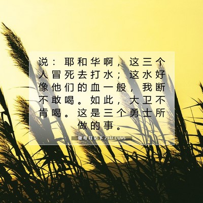 Picture 07 - 撒 母 耳 记 下 23:17 CUVS - 说 ： 耶 和 华 啊 ， 这 三 个 人 冒 - Bible Verse Picture
