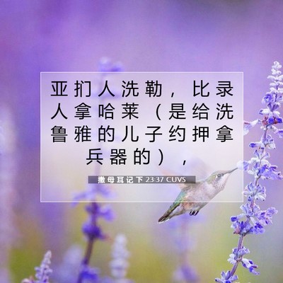 Picture 07 - 撒 母 耳 记 下 23:37 CUVS - 亚 扪 人 洗 勒 ， 比 录 人 拿 哈 莱 - Bible Verse Picture