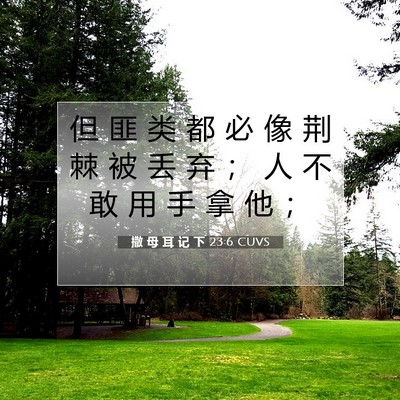 Picture 07 - 撒 母 耳 记 下 23:6 CUVS - 但 匪 类 都 必 像 荆 棘 被 丢 弃 ； - Bible Verse Picture