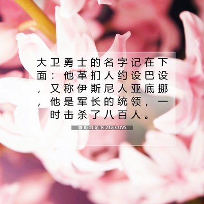 Picture 07 - 撒 母 耳 记 下 23:8 CUVS - 大 卫 勇 士 的 名 字 记 在 下 面 ： - Bible Verse Picture