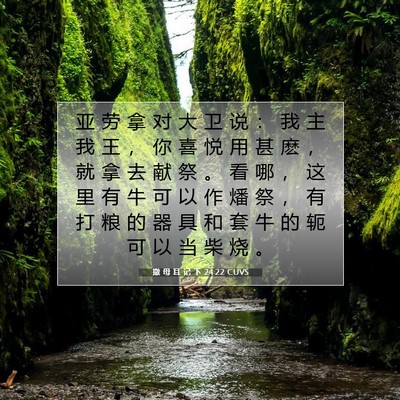 Picture 07 - 撒 母 耳 记 下 24:22 CUVS - 亚 劳 拿 对 大 卫 说 ： 我 主 我 王 - Bible Verse Picture