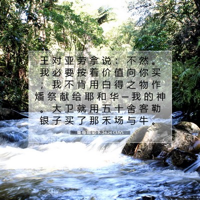 Picture 07 - 撒 母 耳 记 下 24:24 CUVS - 王 对 亚 劳 拿 说 ： 不 然 。 我 必 - Bible Verse Picture