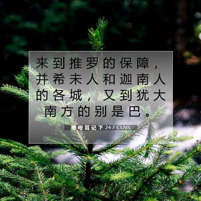 Picture 07 - 撒 母 耳 记 下 24:7 CUVS - 来 到 推 罗 的 保 障 ， 并 希 未 人 - Bible Verse Picture