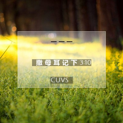Picture 07 - 撒 母 耳 记 下 3:10 CUVS -  - Bible Verse Picture