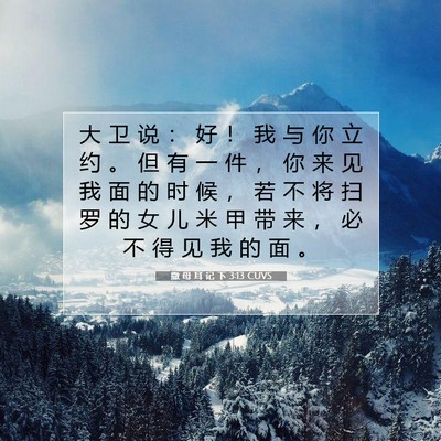 Picture 07 - 撒 母 耳 记 下 3:13 CUVS - 大 卫 说 ： 好 ！ 我 与 你 立 约 。 - Bible Verse Picture