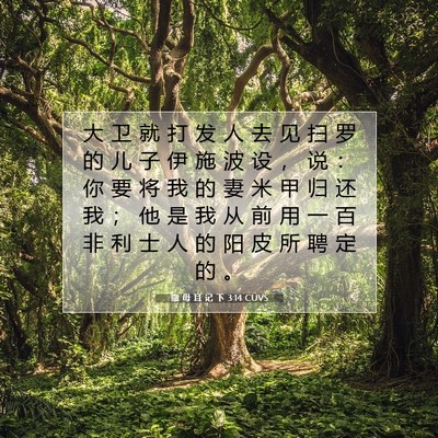 Picture 07 - 撒 母 耳 记 下 3:14 CUVS - 大 卫 就 打 发 人 去 见 扫 罗 的 儿 - Bible Verse Picture
