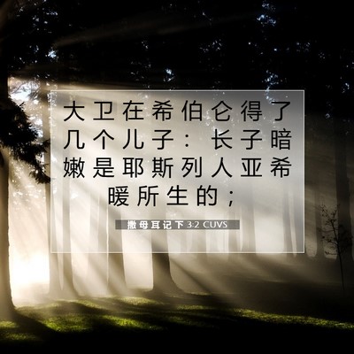 Picture 07 - 撒 母 耳 记 下 3:2 CUVS - 大 卫 在 希 伯 仑 得 了 几 个 儿 子 - Bible Verse Picture