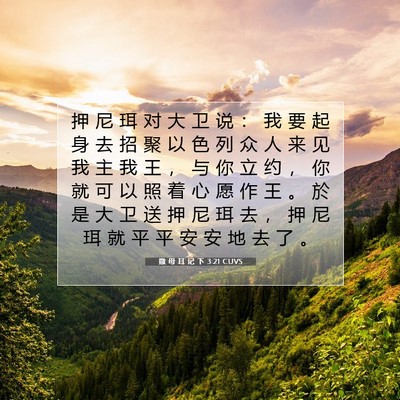 Picture 07 - 撒 母 耳 记 下 3:21 CUVS - 押 尼 珥 对 大 卫 说 ： 我 要 起 身 - Bible Verse Picture