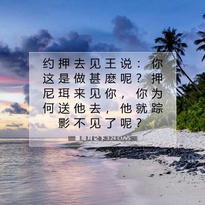 Picture 07 - 撒 母 耳 记 下 3:24 CUVS - 约 押 去 见 王 说 ： 你 这 是 做 甚 - Bible Verse Picture