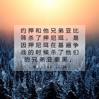 Picture 07 - 撒 母 耳 记 下 3:30 CUVS - 约 押 和 他 兄 弟 亚 比 筛 杀 了 押 - Bible Verse Picture