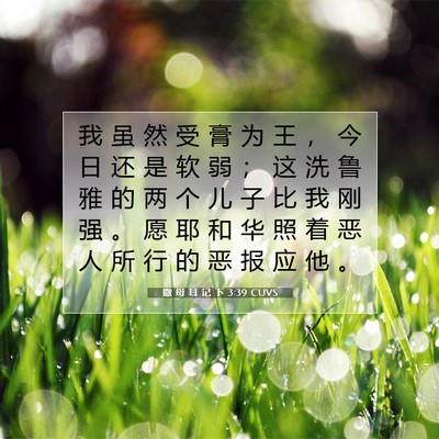 Picture 07 - 撒 母 耳 记 下 3:39 CUVS - 我 虽 然 受 膏 为 王 ， 今 日 还 是 - Bible Verse Picture