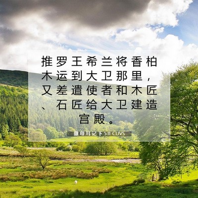 Picture 07 - 撒 母 耳 记 下 5:11 CUVS - 推 罗 王 希 兰 将 香 柏 木 运 到 大 - Bible Verse Picture