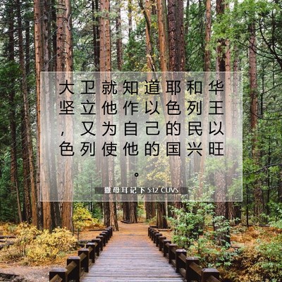Picture 07 - 撒 母 耳 记 下 5:12 CUVS - 大 卫 就 知 道 耶 和 华 坚 立 他 作 - Bible Verse Picture