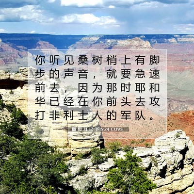 Picture 07 - 撒 母 耳 记 下 5:24 CUVS - 你 听 见 桑 树 梢 上 有 脚 步 的 声 - Bible Verse Picture