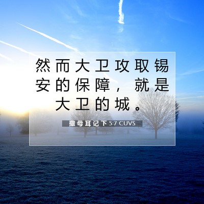 Picture 07 - 撒 母 耳 记 下 5:7 CUVS - 然 而 大 卫 攻 取 锡 安 的 保 障 ， - Bible Verse Picture