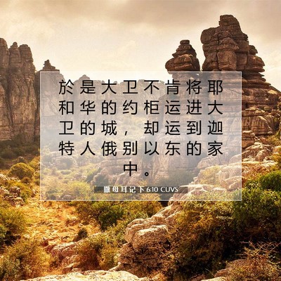 Picture 07 - 撒 母 耳 记 下 6:10 CUVS - 於 是 大 卫 不 肯 将 耶 和 华 的 约 - Bible Verse Picture