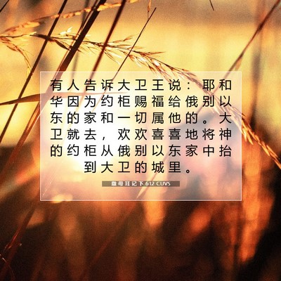 Picture 07 - 撒 母 耳 记 下 6:12 CUVS - 有 人 告 诉 大 卫 王 说 ： 耶 和 华 - Bible Verse Picture