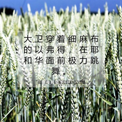 Picture 07 - 撒 母 耳 记 下 6:14 CUVS - 大 卫 穿 着 细 麻 布 的 以 弗 得 ， - Bible Verse Picture