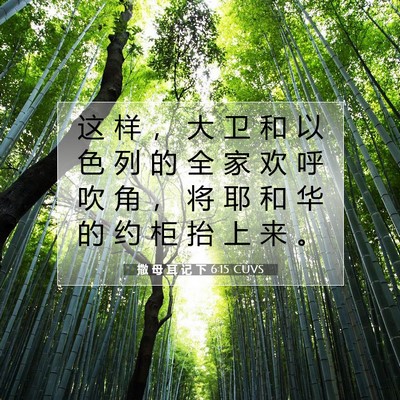 Picture 07 - 撒 母 耳 记 下 6:15 CUVS - 这 样 ， 大 卫 和 以 色 列 的 全 家 - Bible Verse Picture