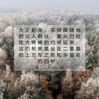 Picture 07 - 撒 母 耳 记 下 6:2 CUVS - 大 卫 起 身 ， 率 领 跟 随 他 的 众 - Bible Verse Picture