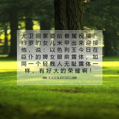 Picture 07 - 撒 母 耳 记 下 6:20 CUVS - 大 卫 回 家 要 给 眷 属 祝 福 ； 扫 - Bible Verse Picture