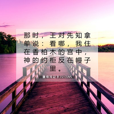 Picture 07 - 撒 母 耳 记 下 7:2 CUVS - 那 时 ， 王 对 先 知 拿 单 说 ： 看 - Bible Verse Picture