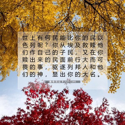 Picture 07 - 撒 母 耳 记 下 7:23 CUVS - 世 上 有 何 民 能 比 你 的 民 以 色 - Bible Verse Picture