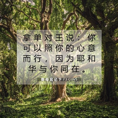 Picture 07 - 撒 母 耳 记 下 7:3 CUVS - 拿 单 对 王 说 ： 你 可 以 照 你 的 - Bible Verse Picture