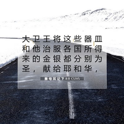 Picture 07 - 撒 母 耳 记 下 8:11 CUVS - 大 卫 王 将 这 些 器 皿 和 他 治 服 - Bible Verse Picture