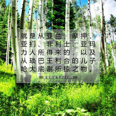 Picture 07 - 撒 母 耳 记 下 8:12 CUVS - 就 是 从 亚 兰 、 摩 押 、 亚 扪 、 - Bible Verse Picture