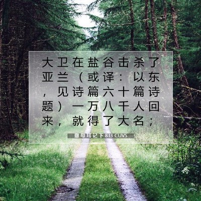 Picture 07 - 撒 母 耳 记 下 8:13 CUVS - 大 卫 在 盐 谷 击 杀 了 亚 兰 （ 或 - Bible Verse Picture