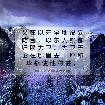 Picture 07 - 撒 母 耳 记 下 8:14 CUVS - 又 在 以 东 全 地 设 立 防 营 ， 以 - Bible Verse Picture