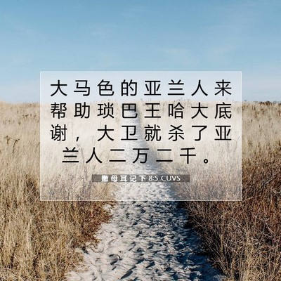 Picture 07 - 撒 母 耳 记 下 8:5 CUVS - 大 马 色 的 亚 兰 人 来 帮 助 琐 巴 - Bible Verse Picture