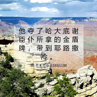 Picture 07 - 撒 母 耳 记 下 8:7 CUVS - 他 夺 了 哈 大 底 谢 臣 仆 所 拿 的 - Bible Verse Picture