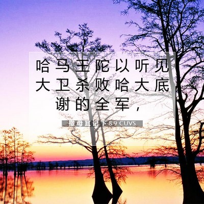 Picture 07 - 撒 母 耳 记 下 8:9 CUVS - 哈 马 王 陀 以 听 见 大 卫 杀 败 哈 - Bible Verse Picture