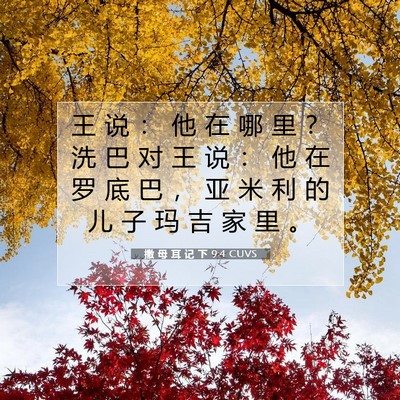 Picture 07 - 撒 母 耳 记 下 9:4 CUVS - 王 说 ： 他 在 哪 里 ？ 洗 巴 对 王 - Bible Verse Picture