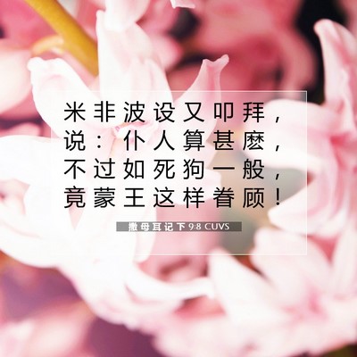 Picture 07 - 撒 母 耳 记 下 9:8 CUVS - 米 非 波 设 又 叩 拜 ， 说 ： 仆 人 - Bible Verse Picture