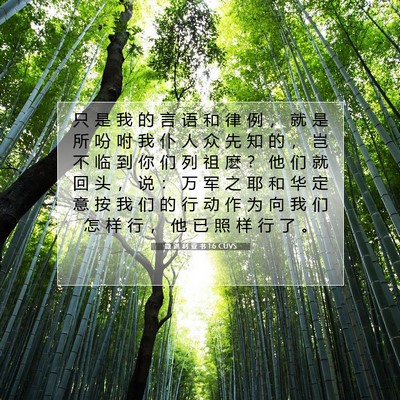 Picture 07 - 撒 迦 利 亚 书 1:6 CUVS - 只 是 我 的 言 语 和 律 例 ， 就 是 - Bible Verse Picture