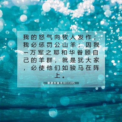Picture 07 - 撒 迦 利 亚 书 10:3 CUVS - 我 的 怒 气 向 牧 人 发 作 ； 我 必 - Bible Verse Picture