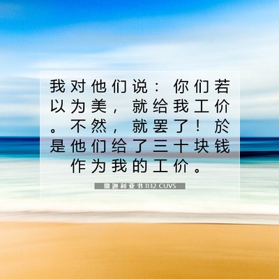 Picture 07 - 撒 迦 利 亚 书 11:12 CUVS - 我 对 他 们 说 ： 你 们 若 以 为 美 - Bible Verse Picture