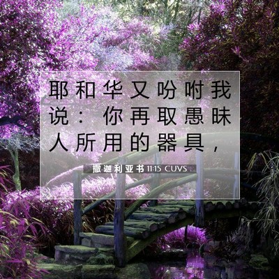 Picture 07 - 撒 迦 利 亚 书 11:15 CUVS - 耶 和 华 又 吩 咐 我 说 ： 你 再 取 - Bible Verse Picture