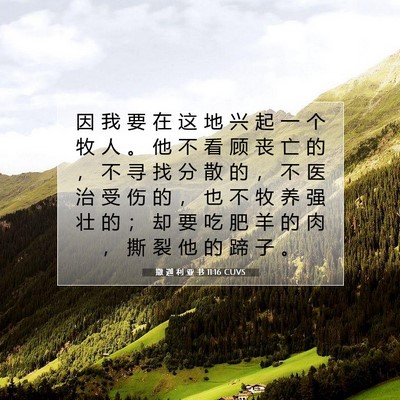 Picture 07 - 撒 迦 利 亚 书 11:16 CUVS - 因 我 要 在 这 地 兴 起 一 个 牧 人 - Bible Verse Picture