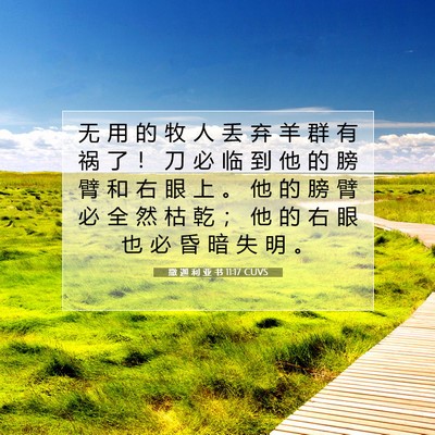 Picture 07 - 撒 迦 利 亚 书 11:17 CUVS - 无 用 的 牧 人 丢 弃 羊 群 有 祸 了 - Bible Verse Picture