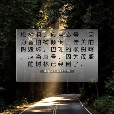 Picture 07 - 撒 迦 利 亚 书 11:2 CUVS - 松 树 啊 ， 应 当 哀 号 ； 因 为 香 - Bible Verse Picture